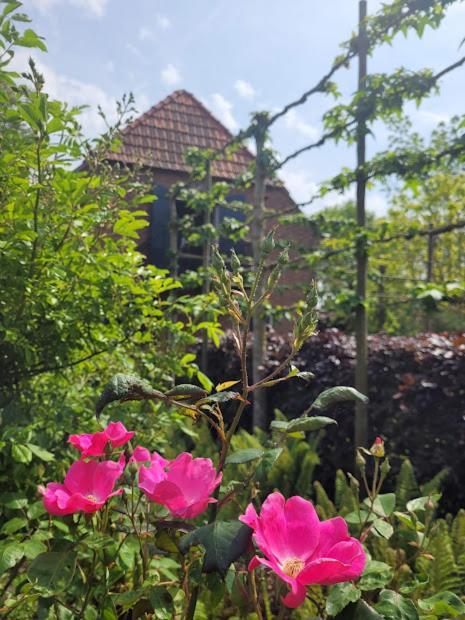 Studio Nok Bij Den Bosch Den Dungen Екстериор снимка
