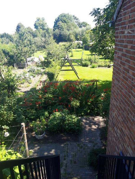 Studio Nok Bij Den Bosch Den Dungen Екстериор снимка