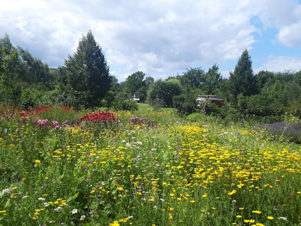 Studio Nok Bij Den Bosch Den Dungen Екстериор снимка