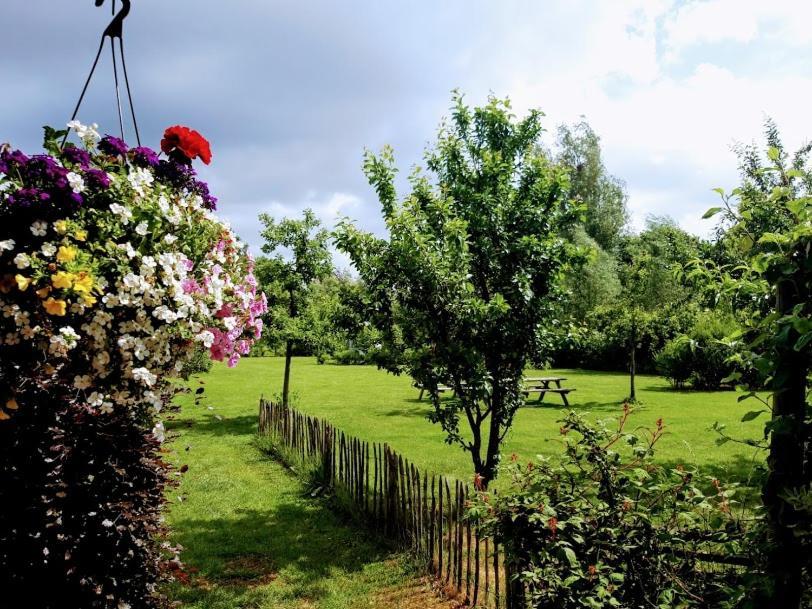 Studio Nok Bij Den Bosch Den Dungen Екстериор снимка